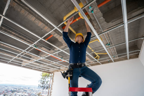 Best Gas Line Repair  in Woodville, OH
